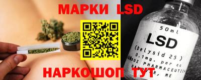 spice Ярославль