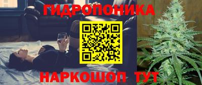 spice Ярославль